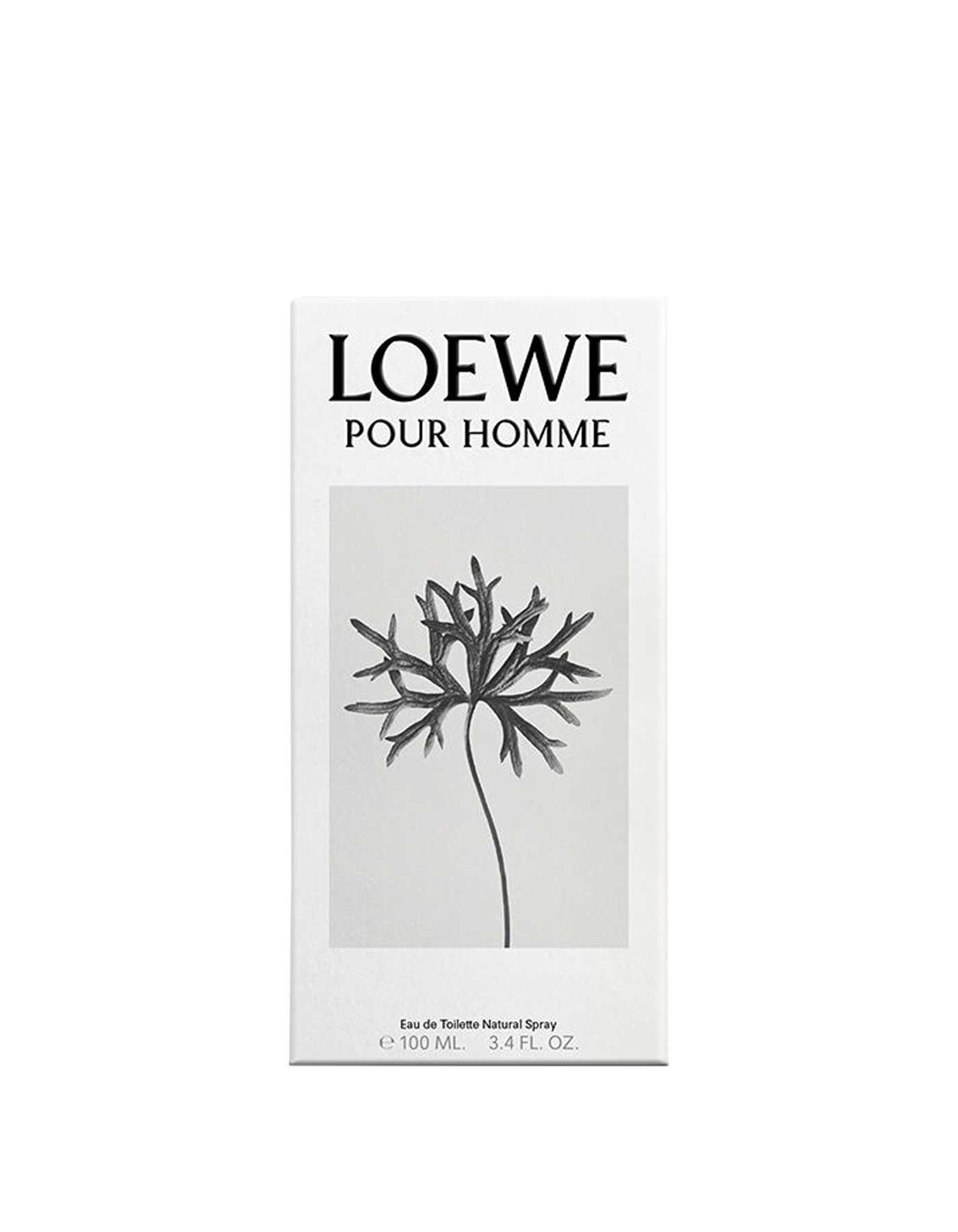 Loewe pour homme discount edt